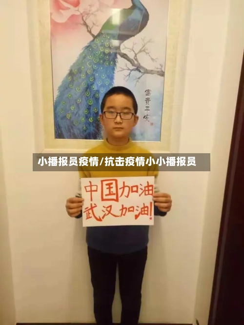 小播报员疫情/抗击疫情小小播报员-第2张图片
