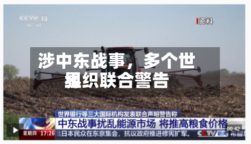涉中东战事，多个世界组织联合警告-第2张图片