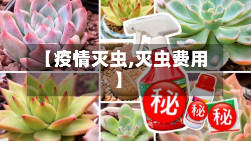 【疫情灭虫,灭虫费用】