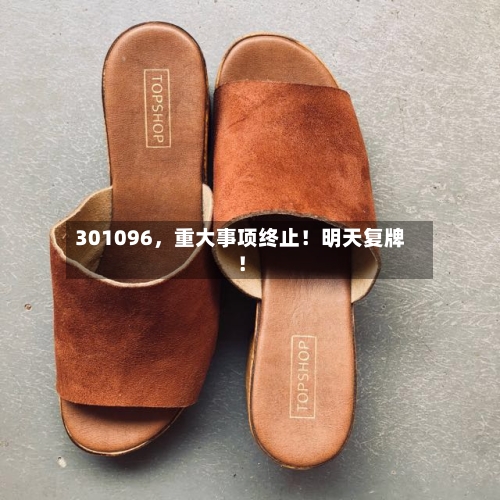 301096，重大事项终止！明天复牌！-第2张图片