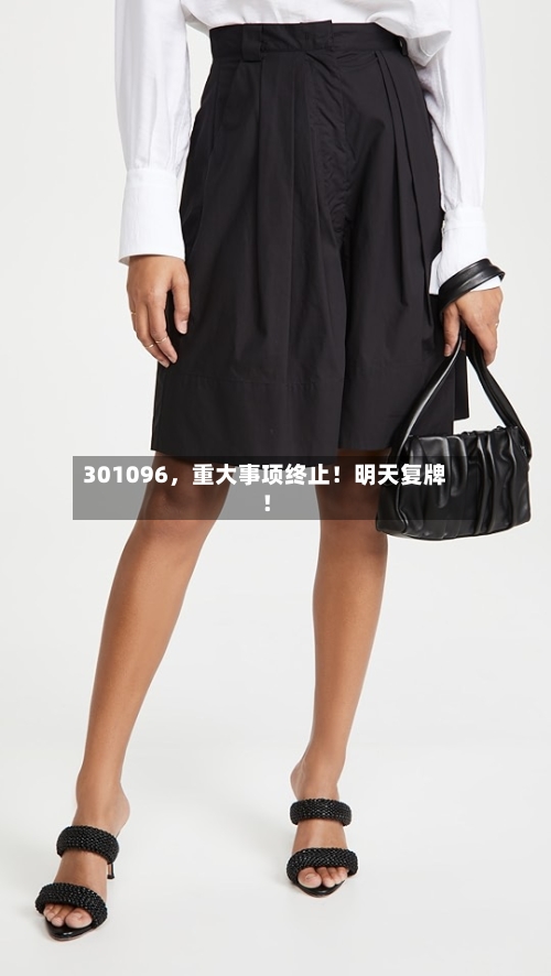 301096	，重大事项终止！明天复牌！-第3张图片