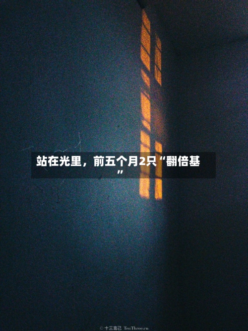 站在光里	，前五个月2只“翻倍基”-第2张图片