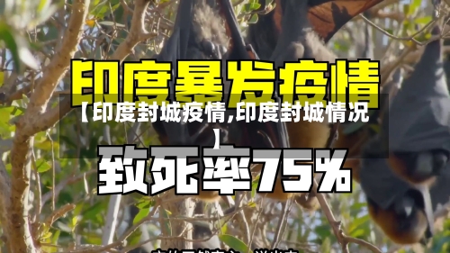 【印度封城疫情,印度封城情况】