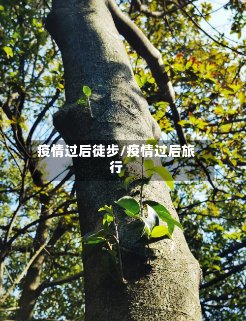 疫情过后徒步/疫情过后旅行-第2张图片