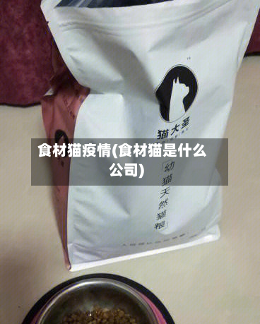 食材猫疫情(食材猫是什么公司)-第2张图片