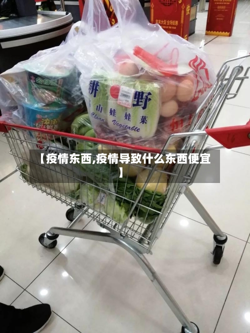 【疫情东西,疫情导致什么东西便宜】-第2张图片