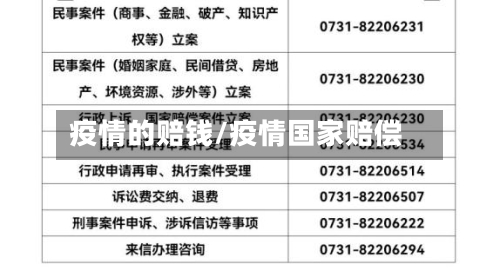 疫情的赔钱/疫情国家赔偿