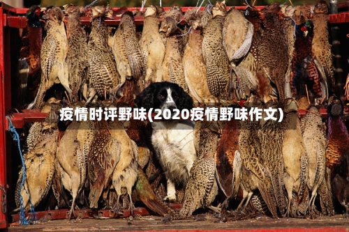 疫情时评野味(2020疫情野味作文)-第3张图片