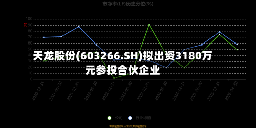 天龙股份(603266.SH)拟出资3180万元参投合伙企业