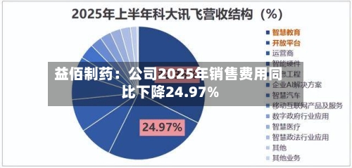 益佰制药：公司2025年销售费用同比下降24.97%-第2张图片