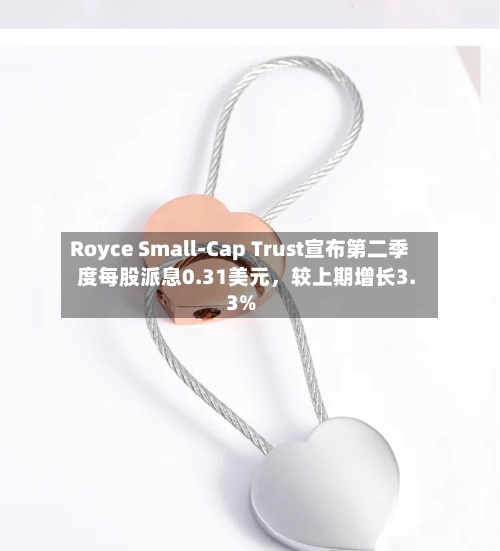 Royce Small-Cap Trust宣布第二季度每股派息0.31美元，较上期增长3.3%-第2张图片