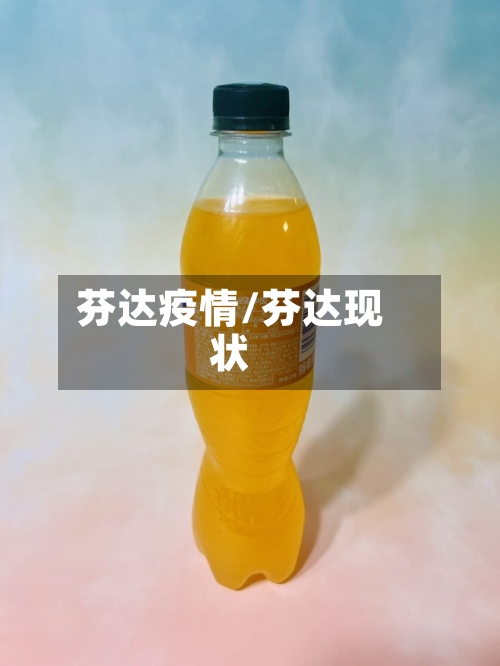 芬达疫情/芬达现状