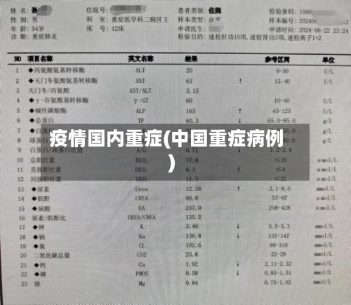 疫情国内重症(中国重症病例)