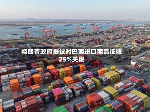 特朗普政府提议对巴西进口商品征收25%关税-第2张图片