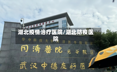 湖北疫情治疗医院/湖北防疫医院-第2张图片