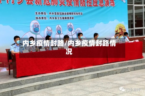 内乡疫情封路/内乡疫情封路情况-第2张图片