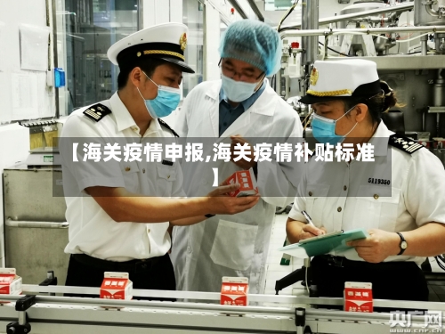 【海关疫情申报,海关疫情补贴标准】-第2张图片