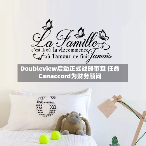 Doubleview启动正式战略审查 任命Canaccord为财务顾问