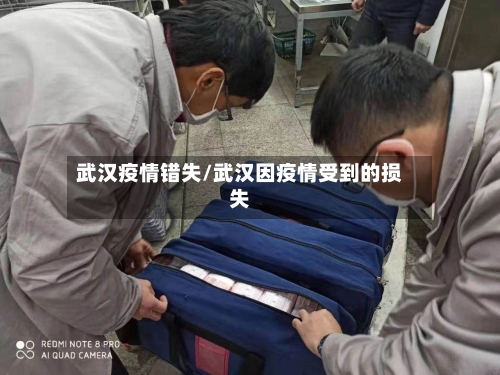 武汉疫情错失/武汉因疫情受到的损失-第3张图片