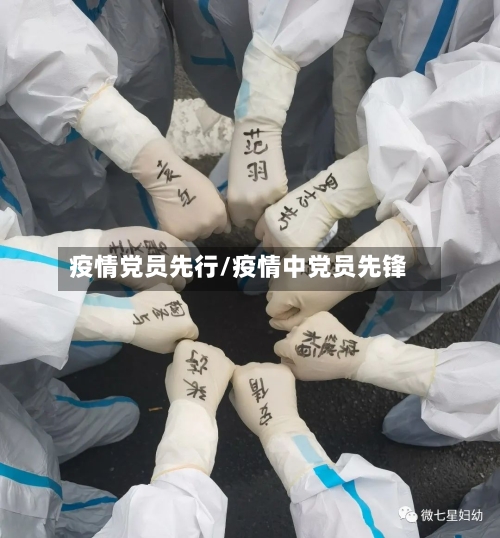 疫情党员先行/疫情中党员先锋