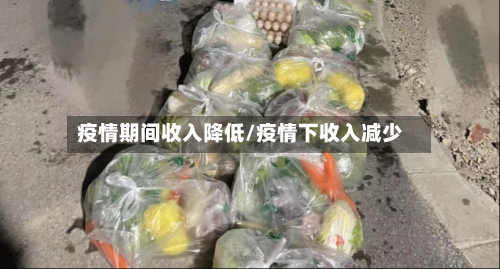 疫情期间收入降低/疫情下收入减少-第2张图片