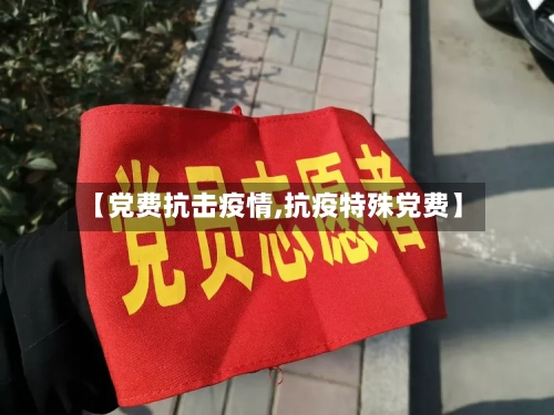 【党费抗击疫情,抗疫特殊党费】-第2张图片