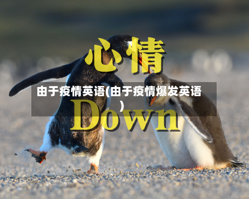 由于疫情英语(由于疫情爆发英语)-第3张图片