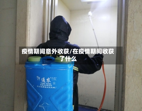 疫情期间意外收获/在疫情期间收获了什么-第2张图片