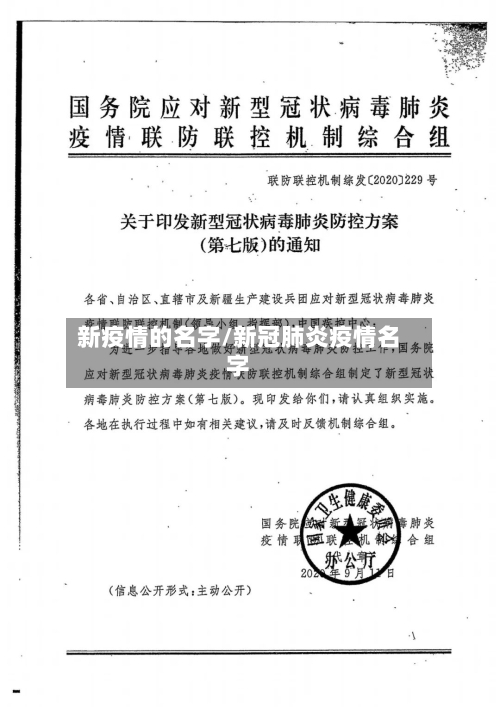 新疫情的名字/新冠肺炎疫情名字-第2张图片