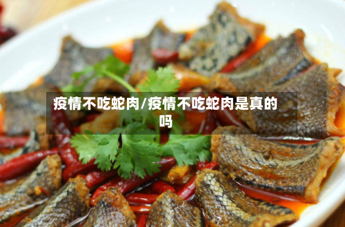 疫情不吃蛇肉/疫情不吃蛇肉是真的吗-第2张图片