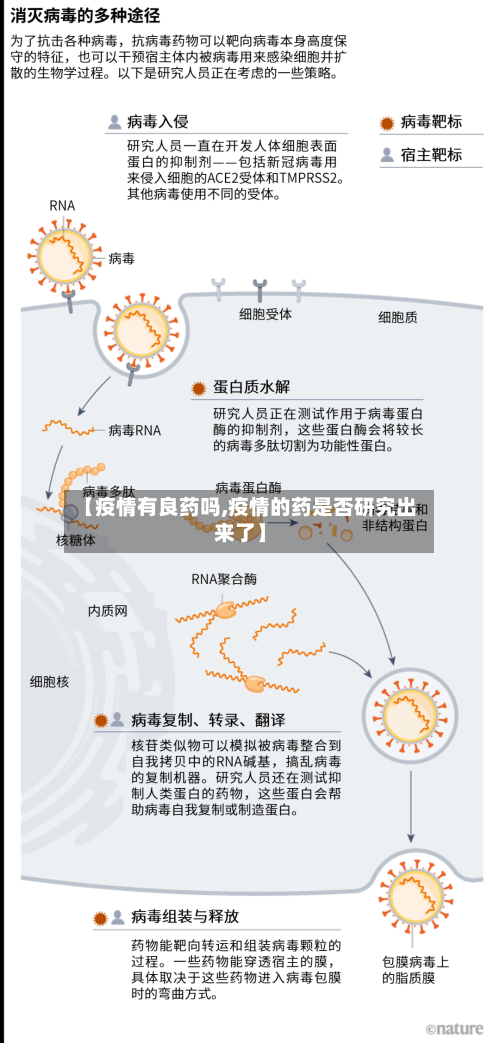 【疫情有良药吗,疫情的药是否研究出来了】-第3张图片