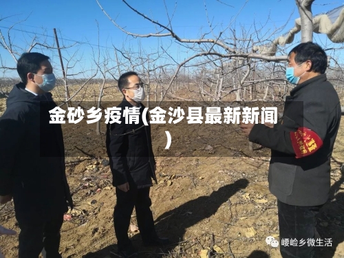 金砂乡疫情(金沙县最新新闻)