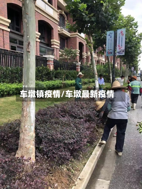 车墩镇疫情/车墩最新疫情-第2张图片