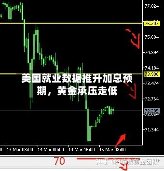 美国就业数据推升加息预期，黄金承压走低-第2张图片
