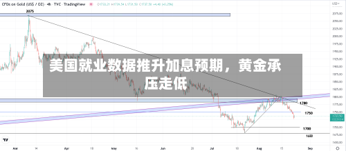 美国就业数据推升加息预期，黄金承压走低-第3张图片