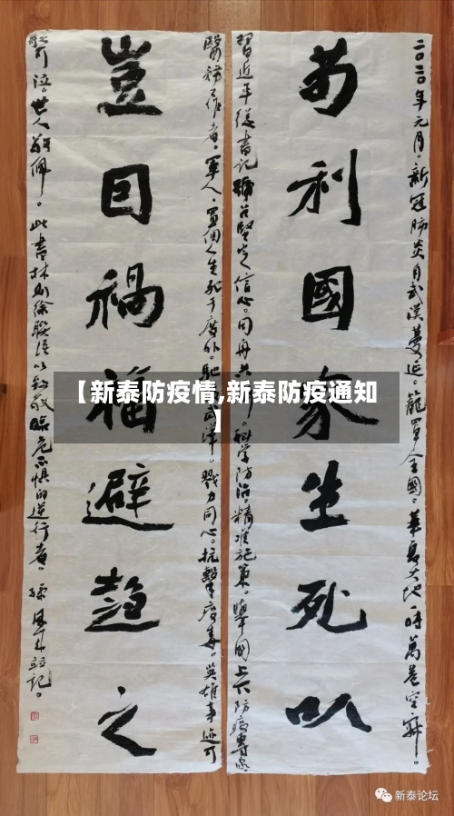 【新泰防疫情,新泰防疫通知】-第2张图片