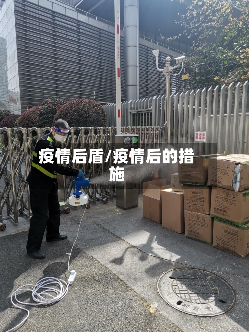 疫情后盾/疫情后的措施-第2张图片