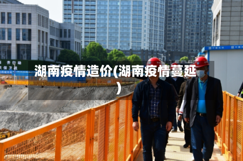 湖南疫情造价(湖南疫情蔓延)