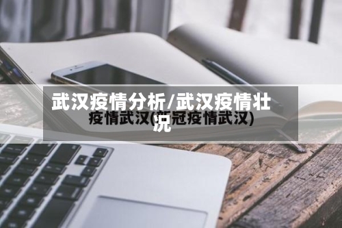 武汉疫情分析/武汉疫情壮况-第2张图片