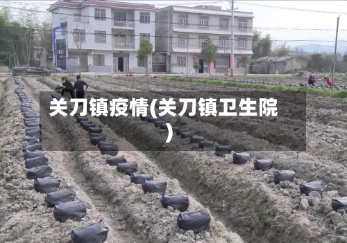 关刀镇疫情(关刀镇卫生院)