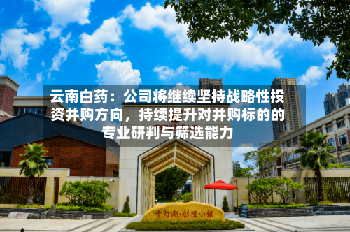 云南白药：公司将继续坚持战略性投资并购方向，持续提升对并购标的的专业研判与筛选能力