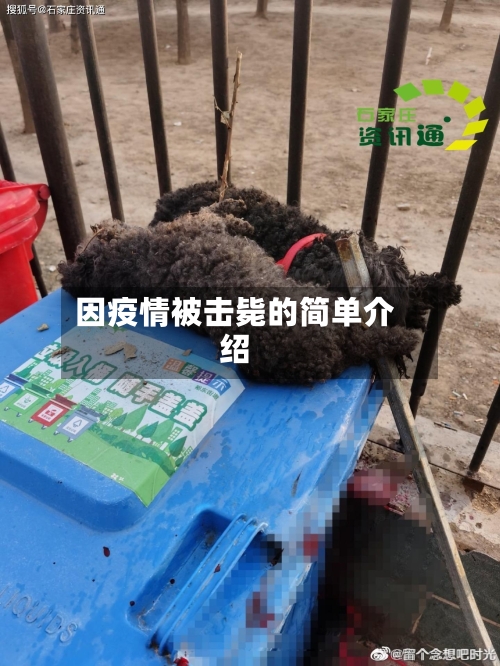 因疫情被击毙的简单介绍-第2张图片