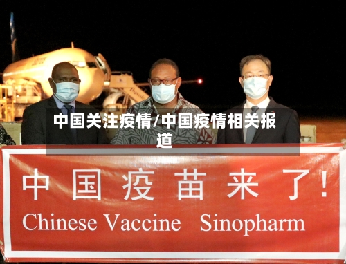 中国关注疫情/中国疫情相关报道