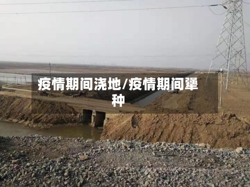 疫情期间浇地/疫情期间犟种