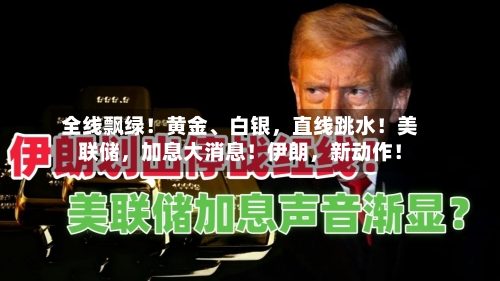全线飘绿！黄金、白银	，直线跳水！美联储，加息大消息！伊朗，新动作！-第2张图片