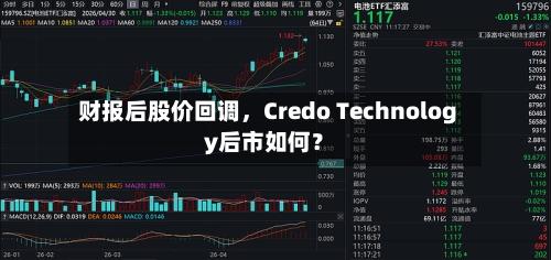 财报后股价回调，Credo Technology后市如何？-第2张图片