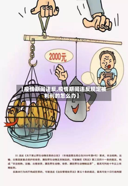 【疫情期间违反,疫情期间违反规定被判刑的怎么办】-第2张图片