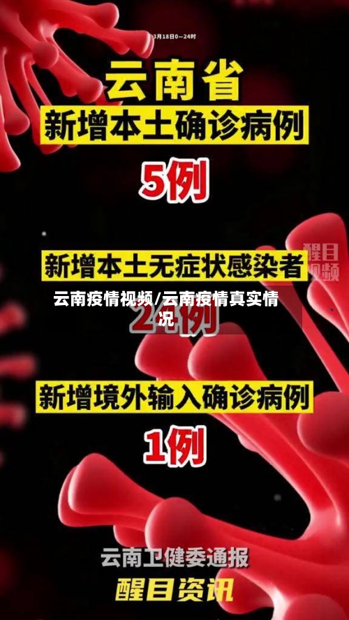 云南疫情视频/云南疫情真实情况