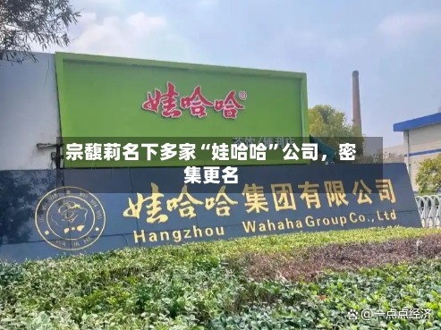 宗馥莉名下多家“娃哈哈”公司，密集更名-第2张图片