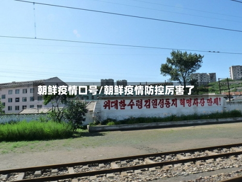 朝鲜疫情口号/朝鲜疫情防控厉害了-第3张图片